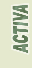 Activa Alternate Logo